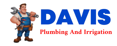 Trusted plumber in BON WIER